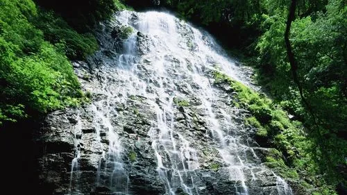 高端先进智慧